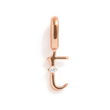 Charm - Initial